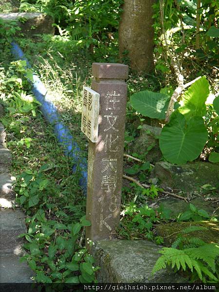 【陪烏龜散步】20161218 水管路步道、天母古道親山步道