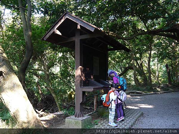 【陪烏龜散步】20161218 水管路步道、天母古道親山步道