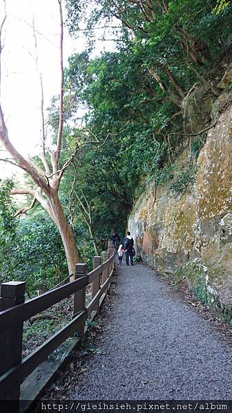 【陪烏龜散步】20161218 水管路步道、天母古道親山步道