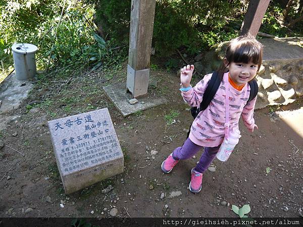 【陪烏龜散步】20161218 水管路步道、天母古道親山步道