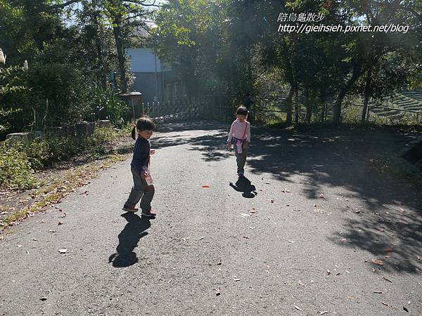 【陪烏龜散步】日月潭 貓囒山步道