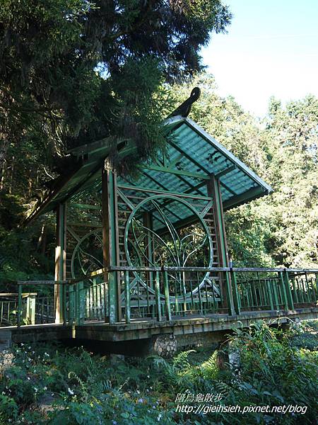 【陪烏龜散步】日月潭 貓囒山步道