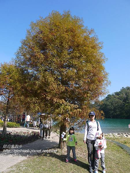 【陪烏龜散步】日月潭向山遊客中心