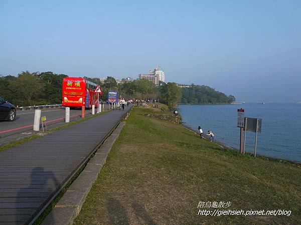 【陪烏龜散步】日月潭環潭公路 水社壩木棧步道