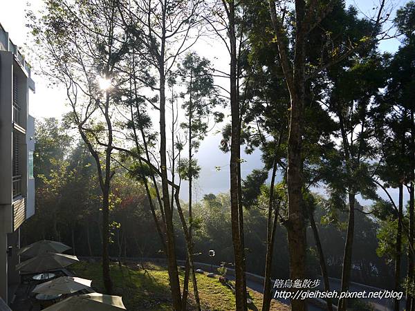 【陪烏龜散步】竹石園生態渡假會館