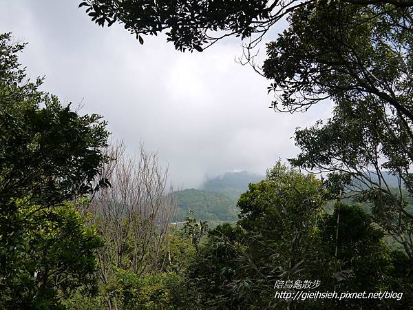 【陪烏龜散步】20170107 貴子坑親山步道