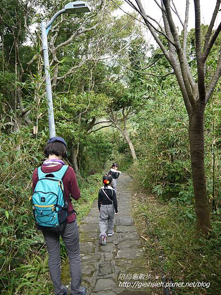 【陪烏龜散步】20170107 貴子坑親山步道