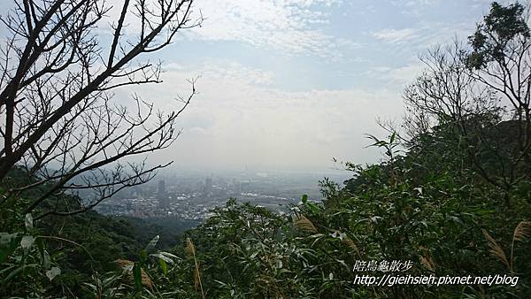 【陪烏龜散步】20170107 貴子坑親山步道