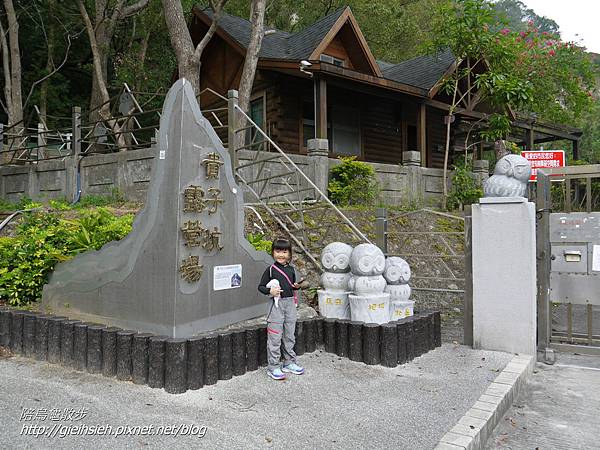 【陪烏龜散步】20170107 貴子坑親山步道