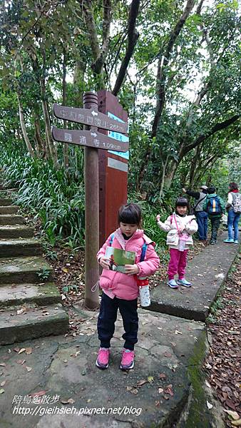 【陪烏龜散步】20170115圓通寺步道