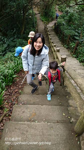 【陪烏龜散步】20170115圓通寺步道