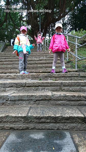 【陪烏龜散步】象山永春崗步道、一線天步道、北星寶宮步道