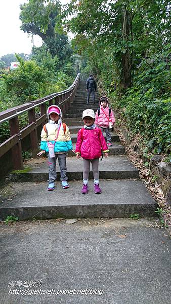 【陪烏龜散步】象山永春崗步道、一線天步道、北星寶宮步道