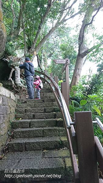 【陪烏龜散步】象山永春崗步道、一線天步道、北星寶宮步道