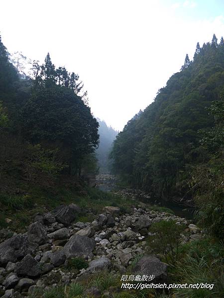 【陪烏龜散步】20170228 杉林溪賞櫻健行_樂山步道