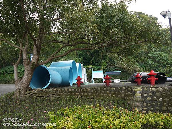 【陪烏龜散步】20170304 自來水園區小觀音山生態步道