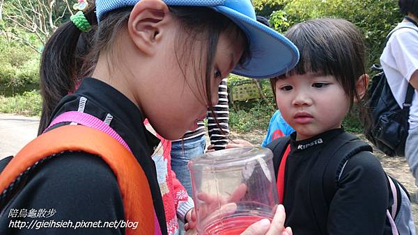 【陪烏龜散步】20170312 貴子坑水土保持園區