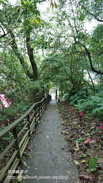 【陪烏龜散步】20170415 台北 虎山、象山連走