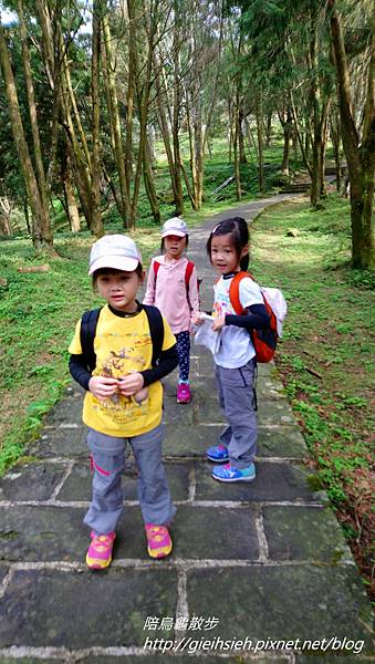 【陪烏龜散步】20180304 東眼山國家森林遊樂區~自導式步道~東眼山三角點H1212m~台灣小百岳