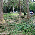 【陪烏龜散步】20180304 東眼山國家森林遊樂區~自導式步道~東眼山三角點H1212m~台灣小百岳