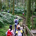 【陪烏龜散步】20180304 東眼山國家森林遊樂區~自導式步道~東眼山三角點H1212m~台灣小百岳