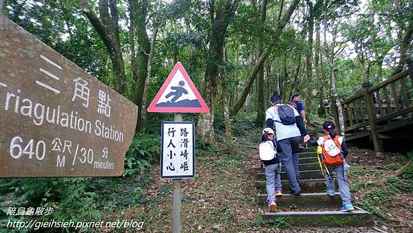 【陪烏龜散步】20180304 東眼山國家森林遊樂區~自導式步道~東眼山三角點H1212m~台灣小百岳