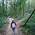 【陪烏龜散步】20180304 東眼山國家森林遊樂區~自導式步道~東眼山三角點H1212m~台灣小百岳