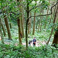 【陪烏龜散步】20180304 東眼山國家森林遊樂區~自導式步道~東眼山三角點H1212m~台灣小百岳