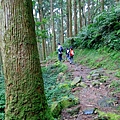 【陪烏龜散步】20180304 東眼山國家森林遊樂區~自導式步道~東眼山三角點H1212m~台灣小百岳