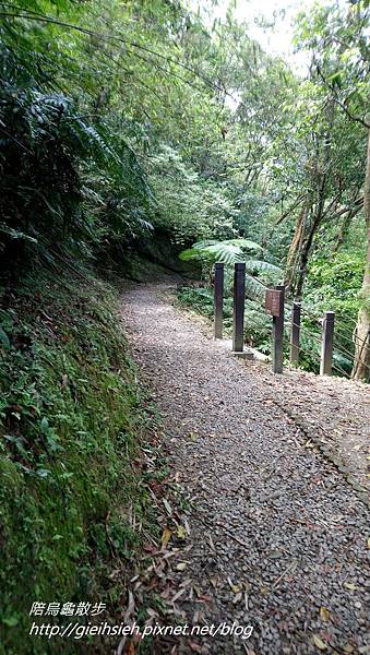 【陪烏龜散步】20180421 平溪 望古賞瀑步道