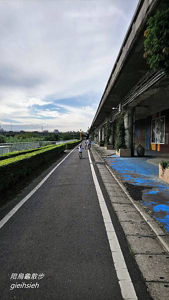 【陪烏龜散步】20181110 新店溪河濱自行車道 公館景福站騎單車往返【陪烏龜散步】20181110 新店溪河濱自行車道 公館-大稻埕 騎單車趣