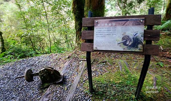 【陪烏龜散步】20181118 太平山 見晴懷古步道