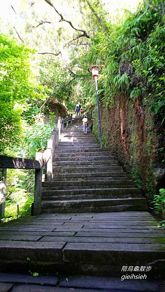 【陪烏龜散步】20181201 北投 軍艦岩親山步道 台北20條親山步道拓印趣