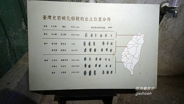 【陪烏龜散步】20190119磯永吉小屋 台灣蓬萊米演進