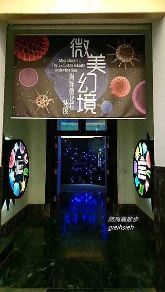 【陪烏龜散步】20190519 臺博館518國際博物館日