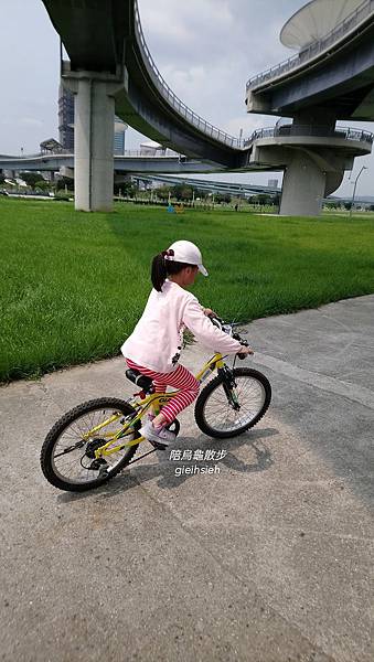 【陪烏龜散步】20190404 大漢溪左岸自行車道 新北三重騎單車