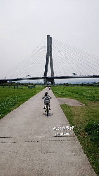 【陪烏龜散步】20190404 大漢溪左岸自行車道 新北三重騎單車