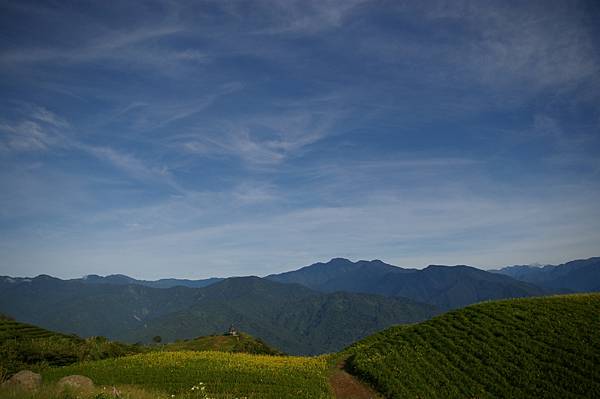 9808富里遊 (250).JPG