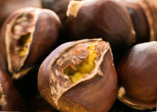 Roasted-Chestnuts[1]