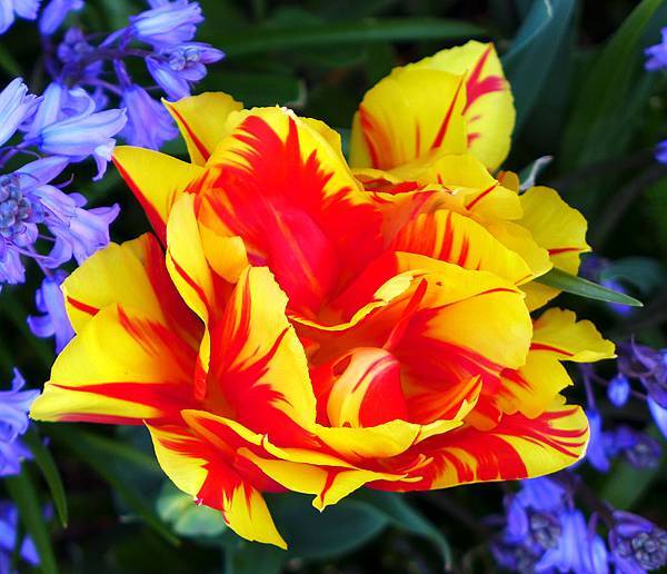 2016-4-110.JPG 2016-4-110.JPG