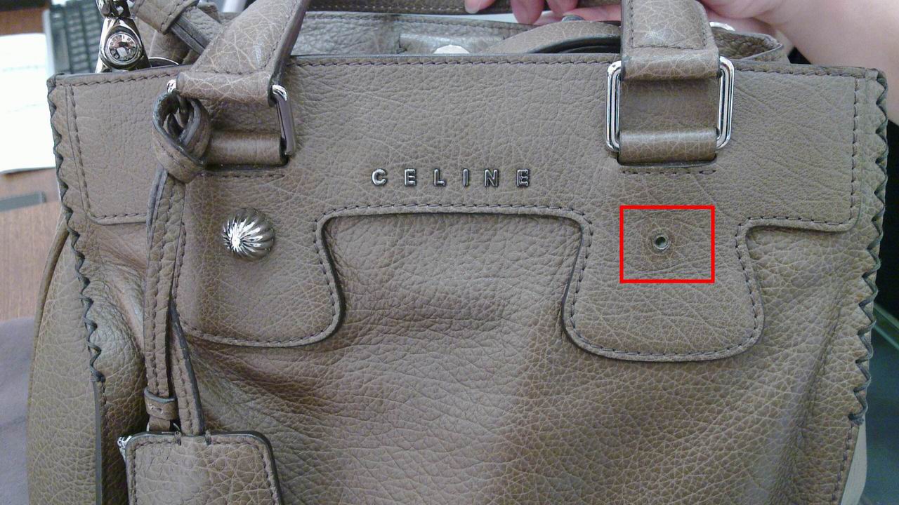 celine1.jpg