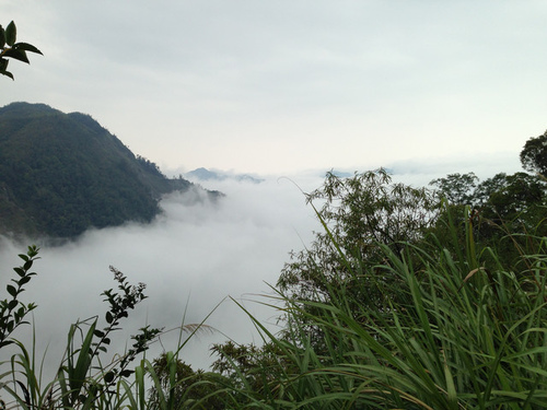 杉林溪雲霧