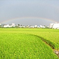 名間田野風情四