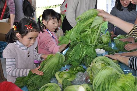 集集親子賞花採果樂逍遙活動照 (107)