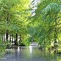 花蓮行0901-05雲山水-93