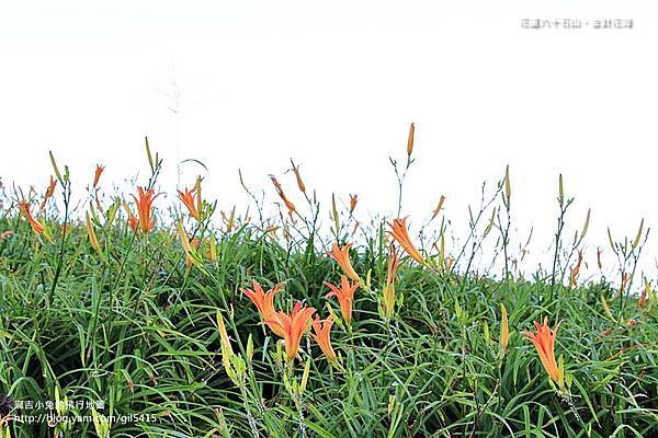 花蓮行0902-01六十石山-263