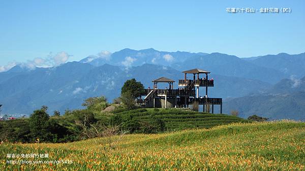 花蓮行0902-01六十石山-586