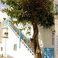 20041017 Mykonos-044