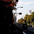 05-京都 京都御所  002