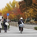 02-京都 東本願寺  026